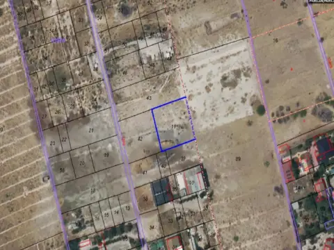 Finca rústica en calle Partida El Palmar, nº S/N